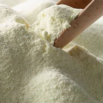 Wheat Gluten - 25kg