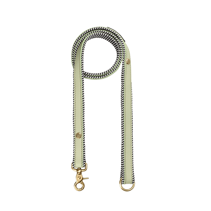 Everyday Leather Dog Leash | Buchu