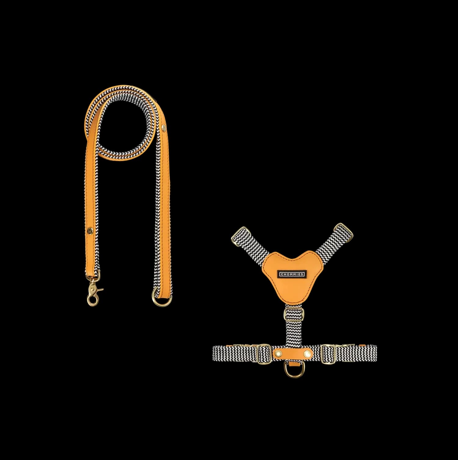 Dog Harness & Leash Bundle | Kumquat