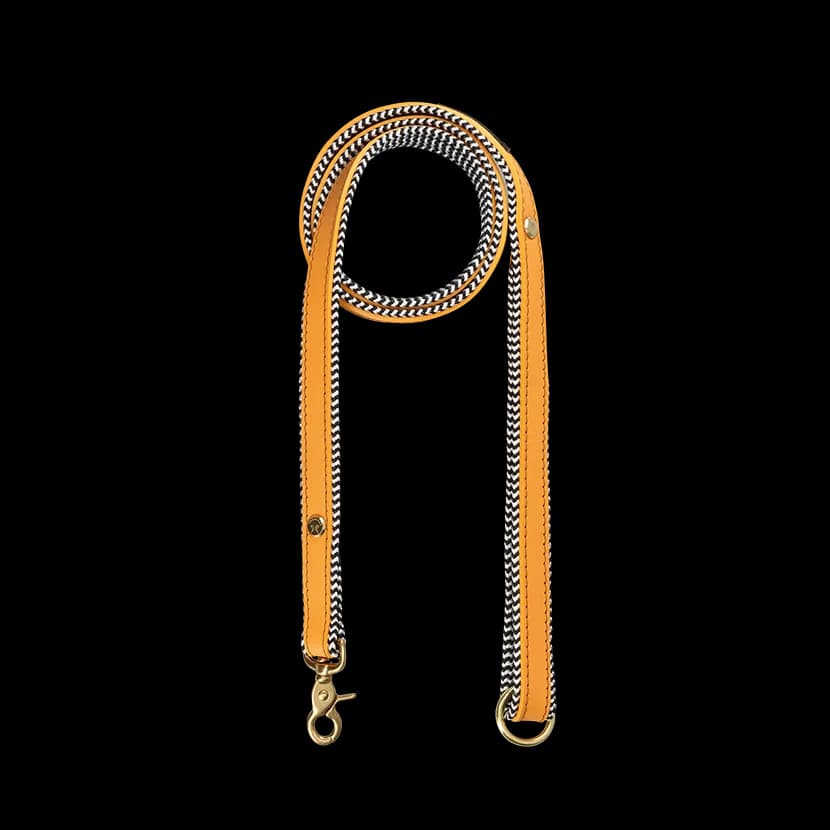 Everyday Leather Dog Leash | Kumquat
