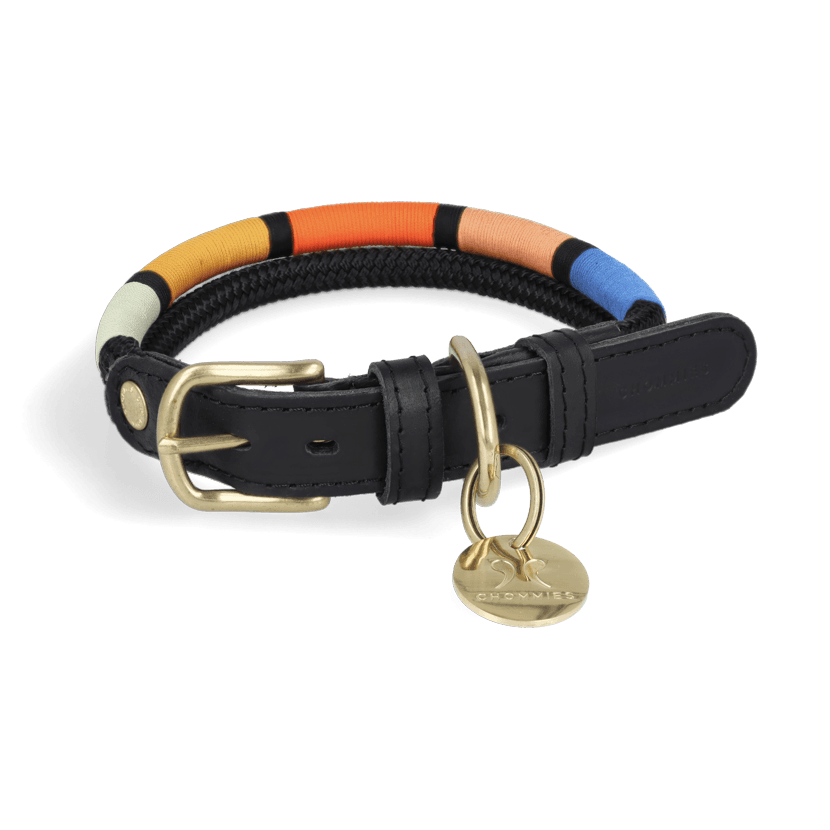 Adjustable Dog Collar | Shongololo on Black