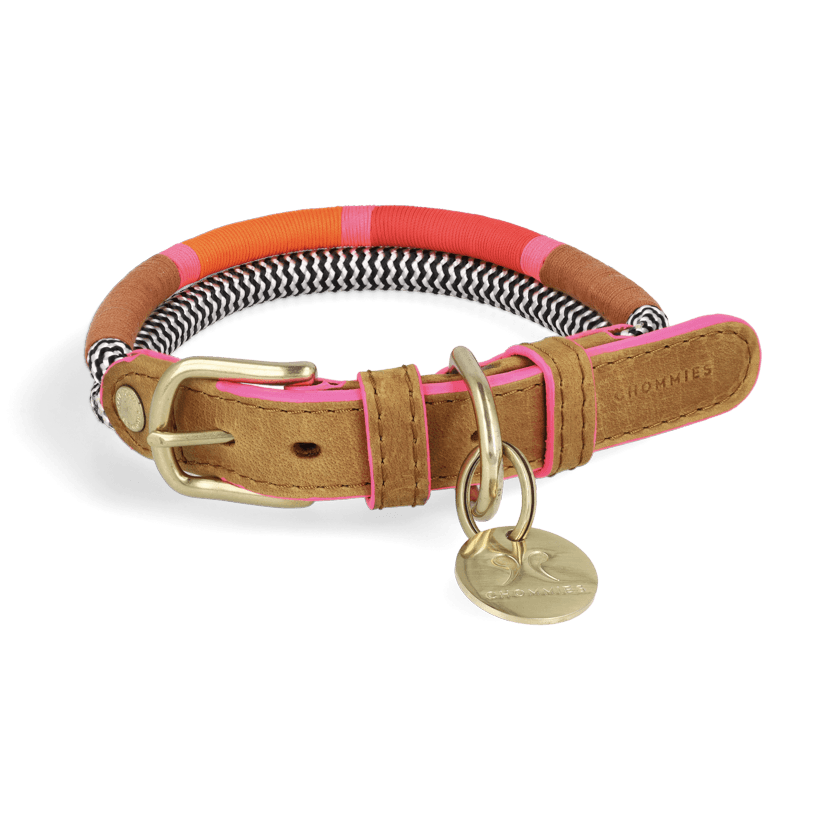 Adjustable Dog Collar | Shongololo on BW