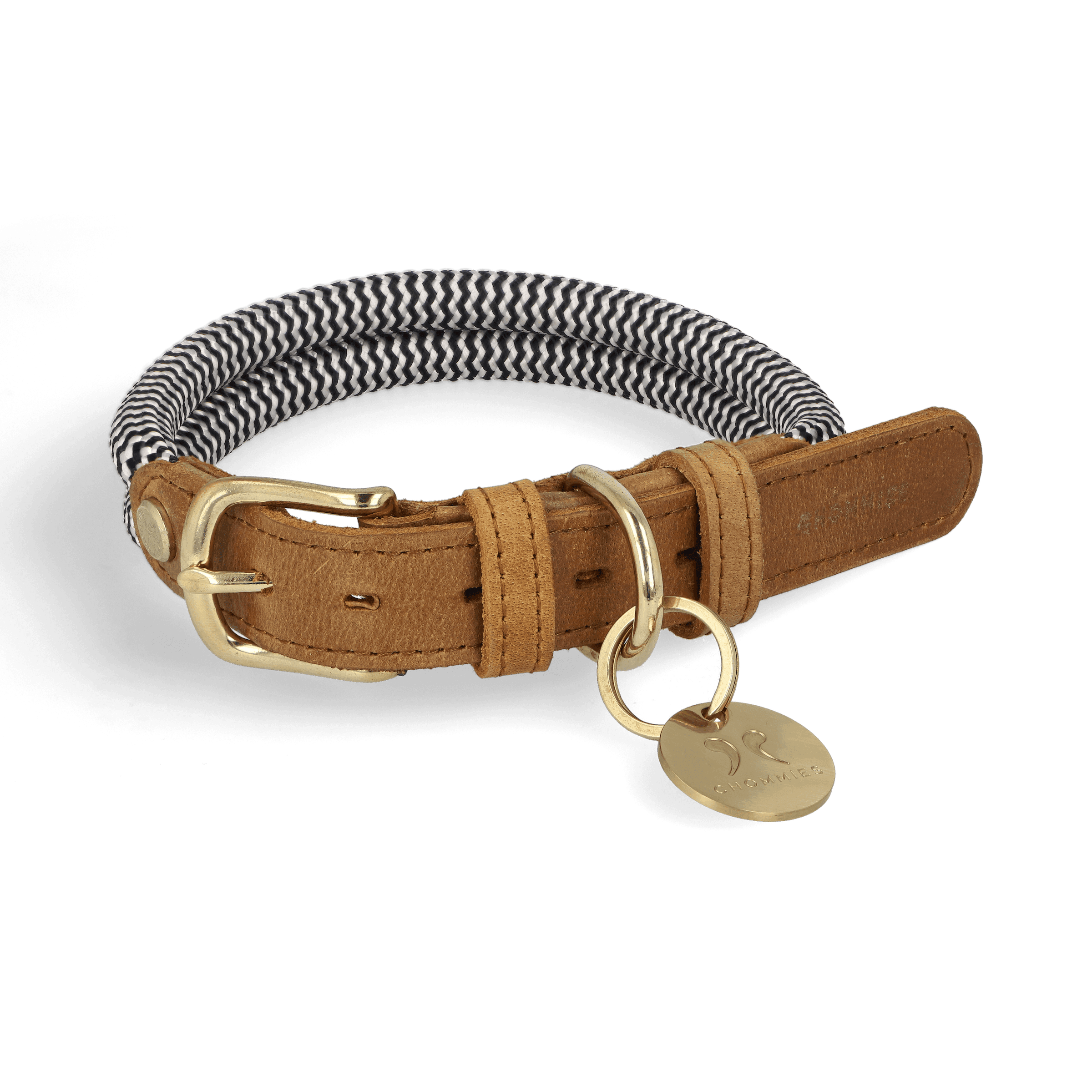 Adjustable Dog Collar | Sandton