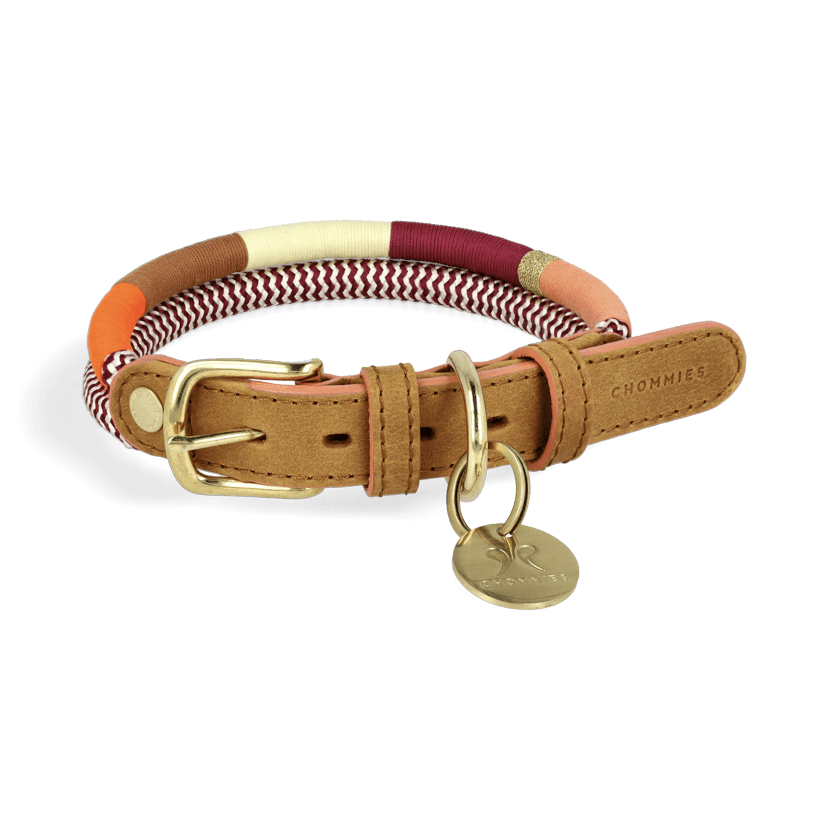 Adjustable Dog Collar | Autumn