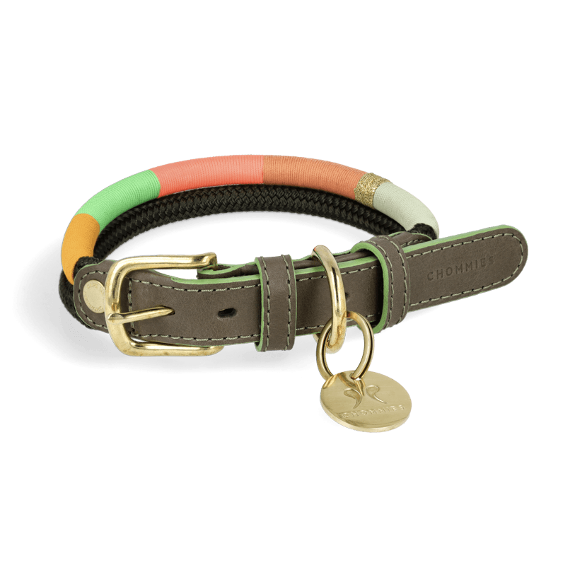 Adjustable Dog Collar | Spring