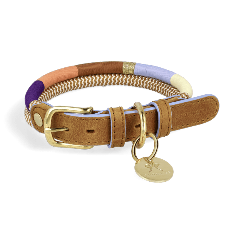 Adjustable Dog Collar | Summer