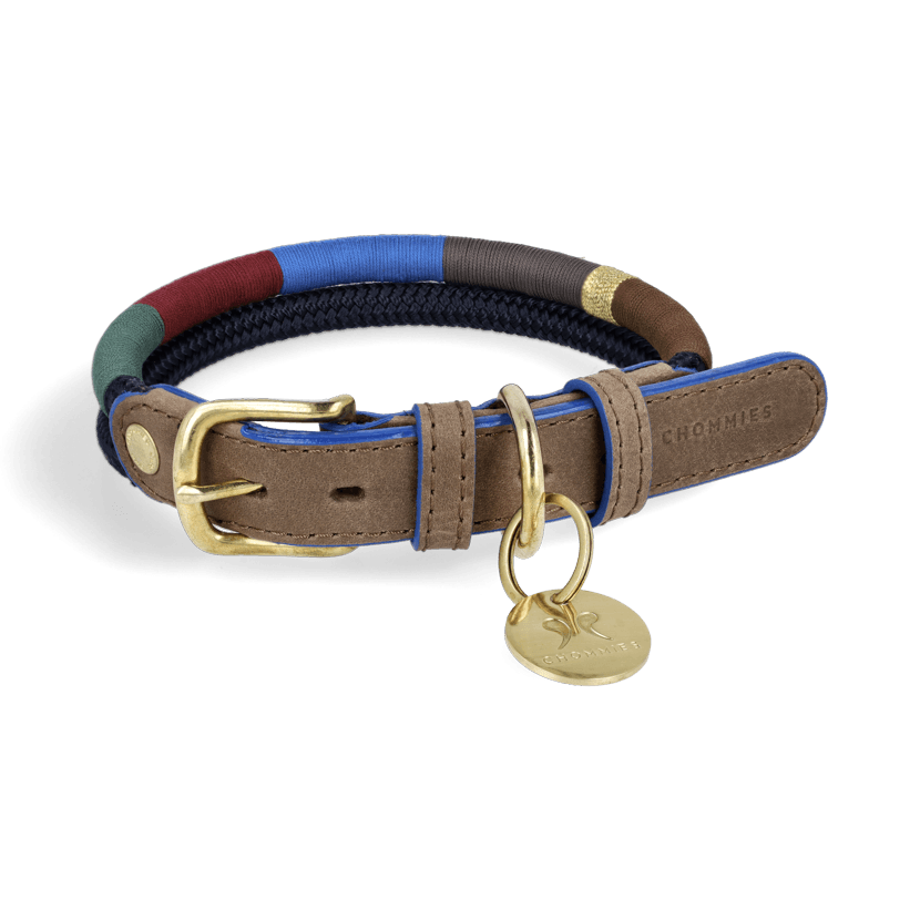 Adjustable Dog Collar | Winter