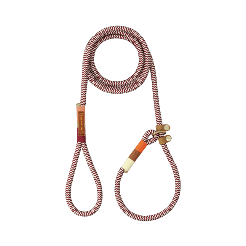 Slip-on Dog Leash | Autumn