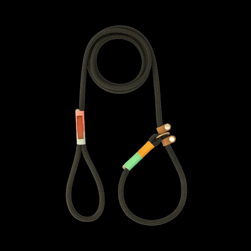 Slip-on Leash | Spring
