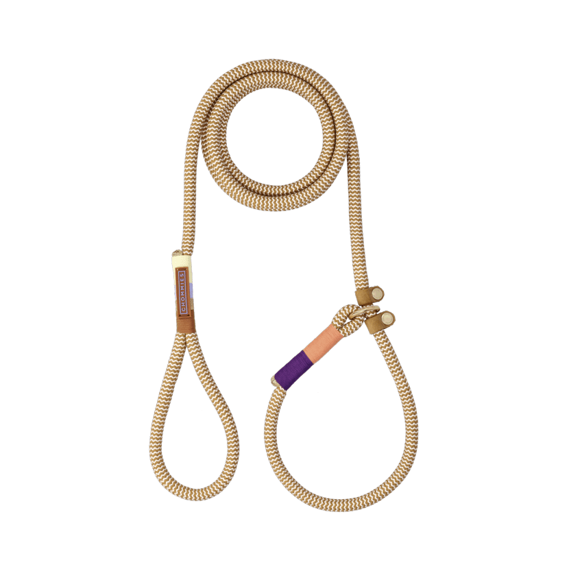 Slip-on Dog Leash | Summer