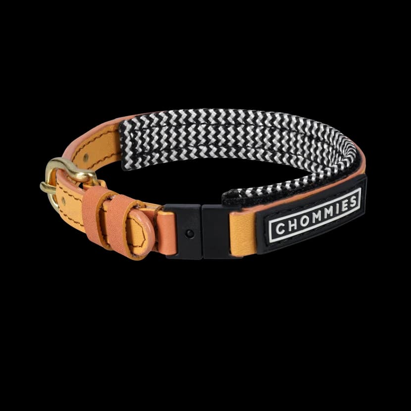 Adjustable Cat Collar | Rooibos