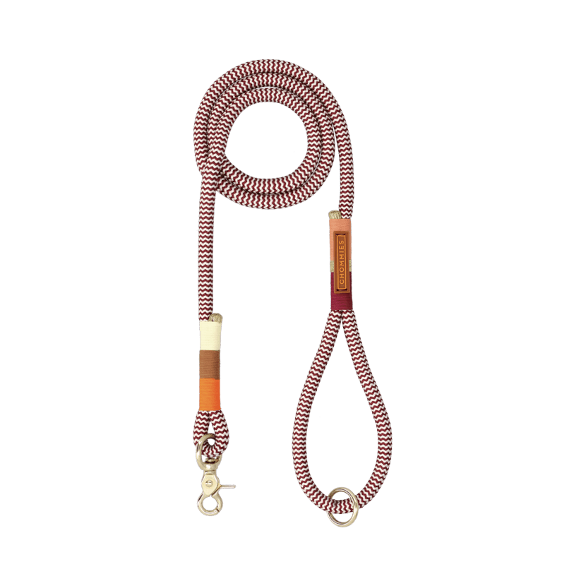 Everyday Dog Leash | Autumn