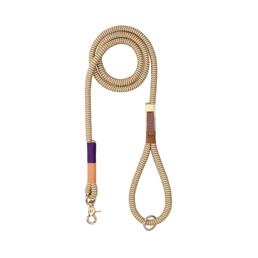 Everyday Dog Leash | Summer