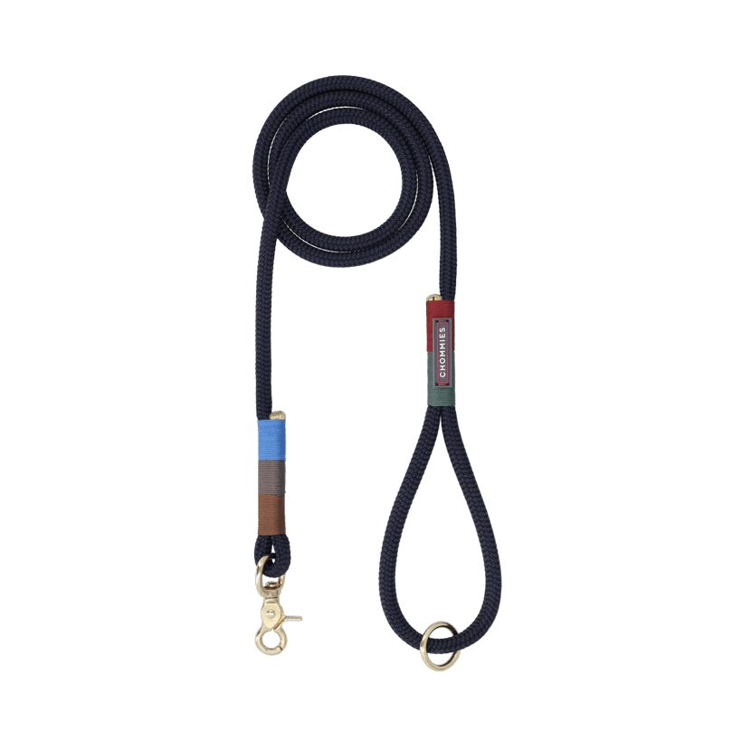 Everyday Dog Leash | Winter