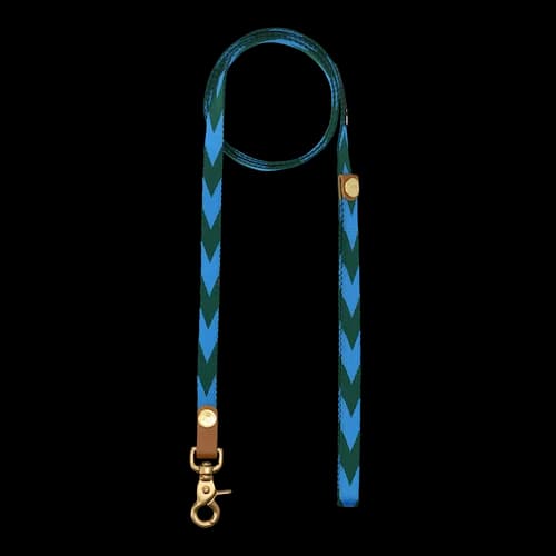 Everyday Leash | Blue & Green