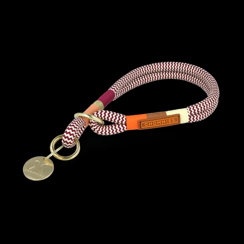 Slip-On Dog Collar | Autumn