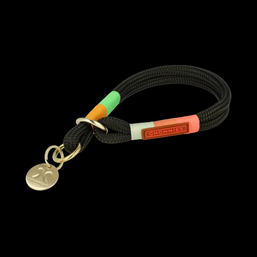 Slip-On Dog Collar | Spring