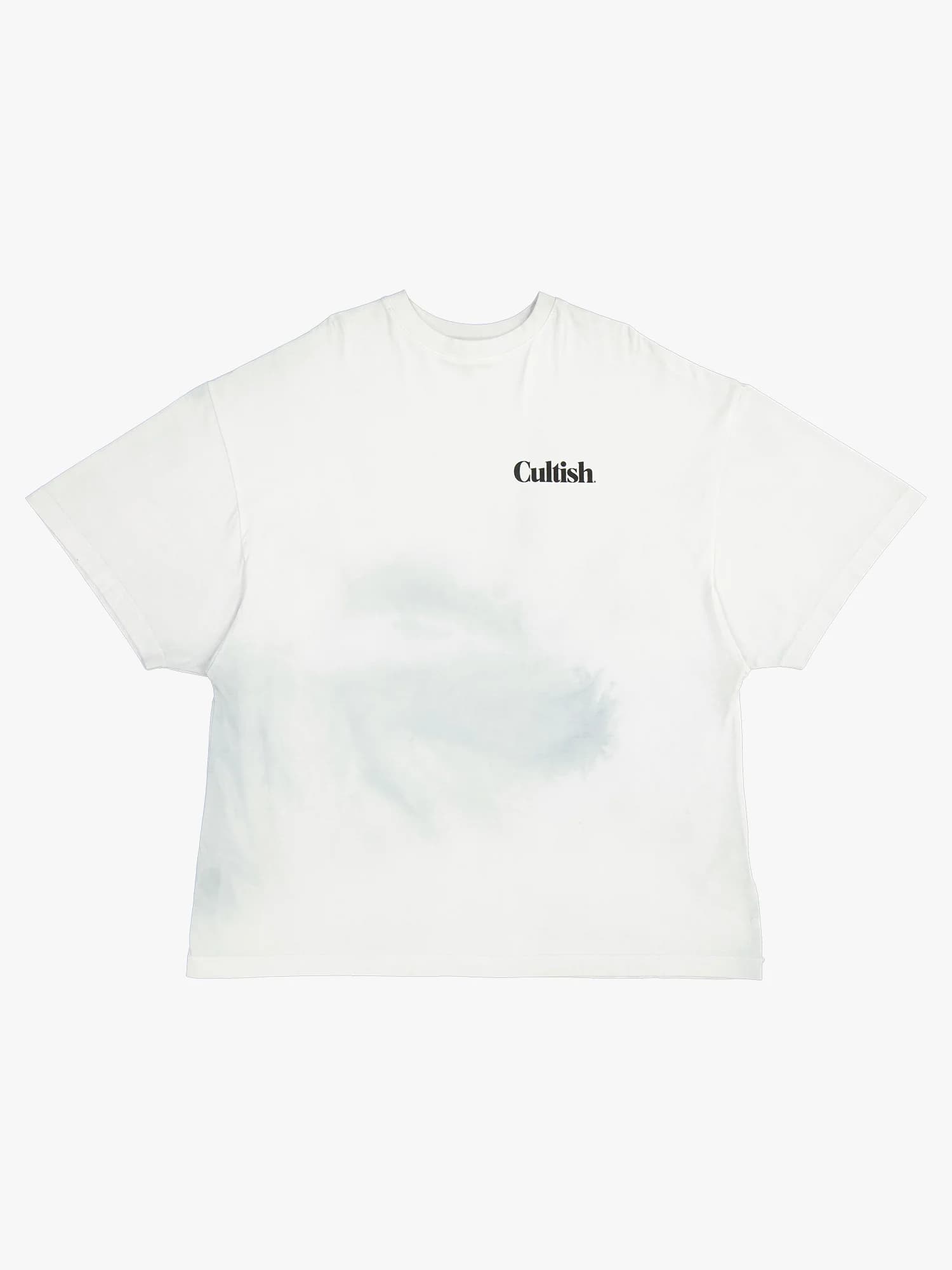 ⓔ Classic Logo Oversized T-Shirt