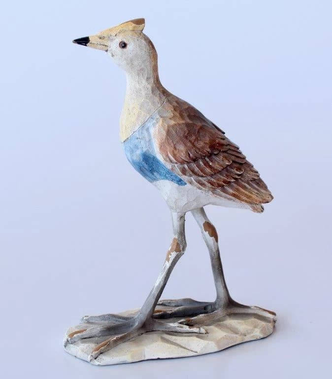 Large Water Fowl