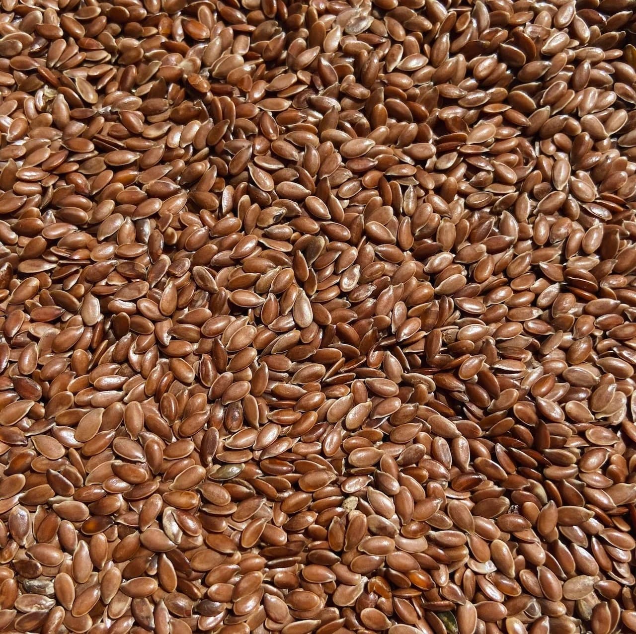 Linseed/Flaxseeds