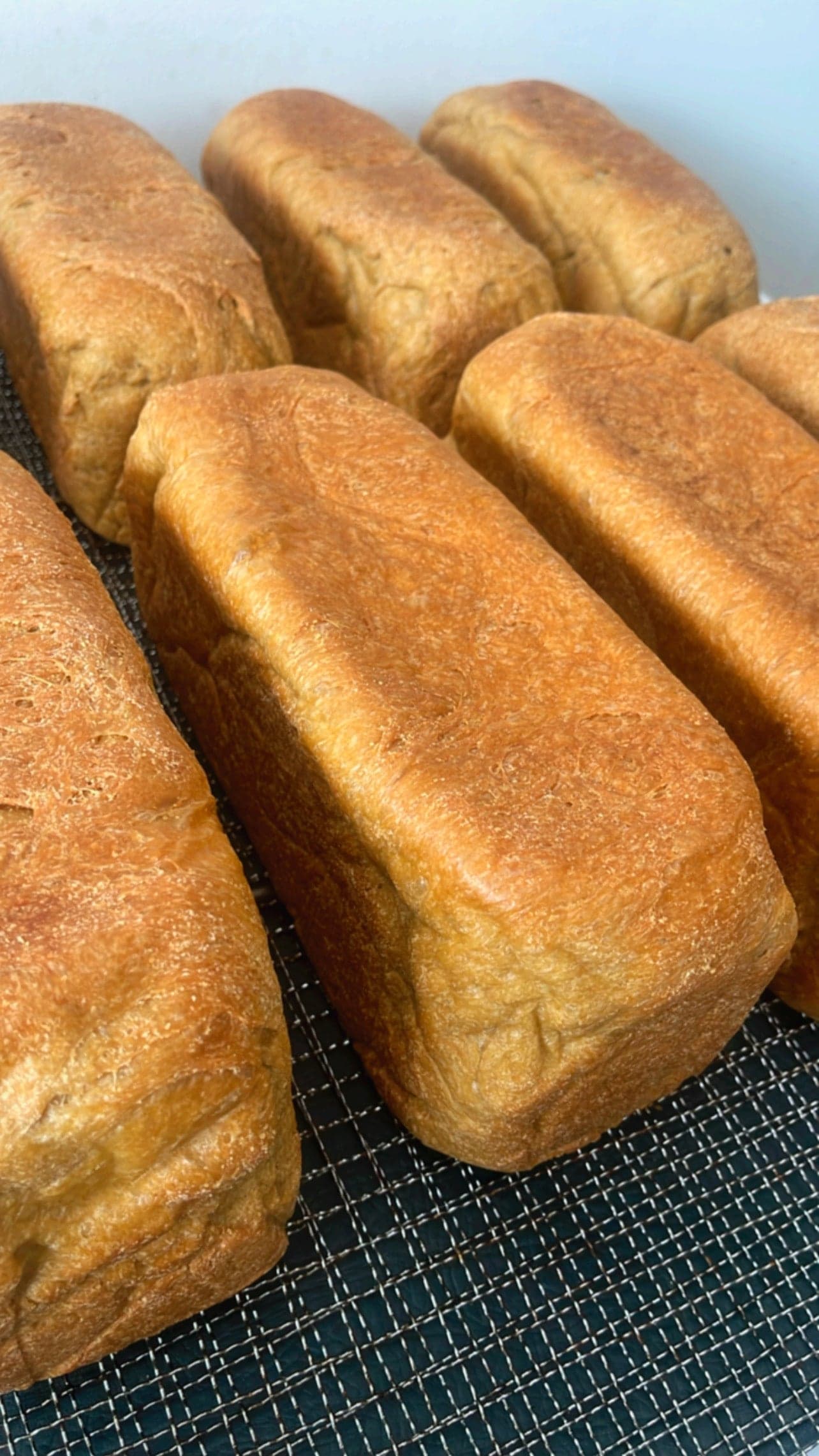 Keto White Bread | Low Carb Bread South Africa | Keto Co