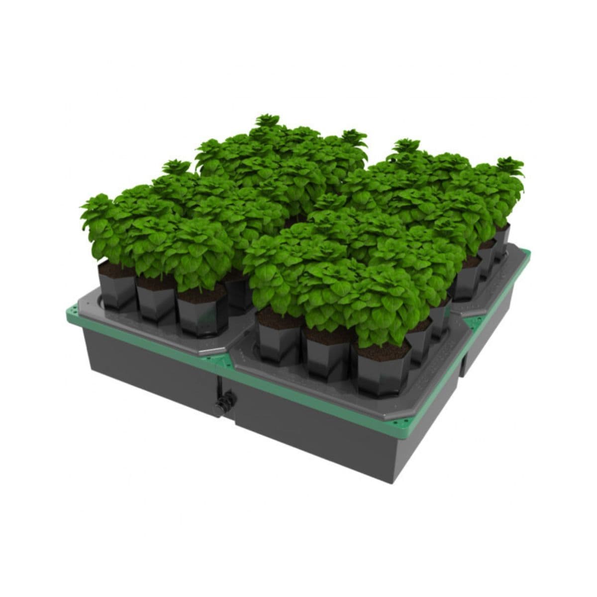 HydroGrow Box Root Zone Growing System