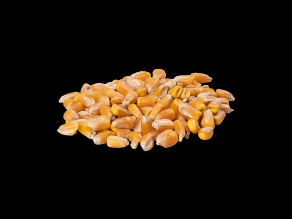 Maize Yellow 1kg Lunker