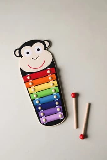 Animal Xylophone