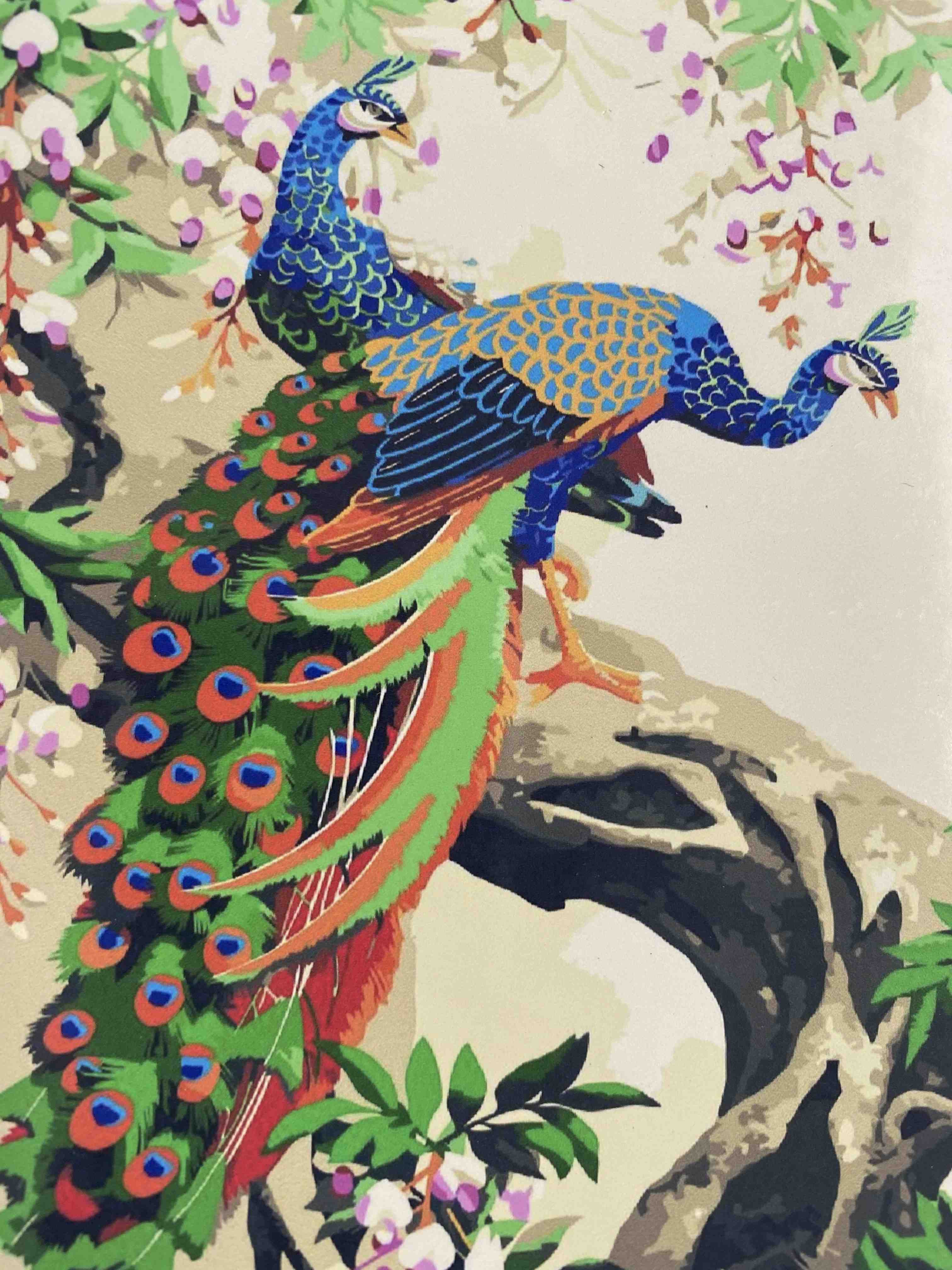 Proud Peacock
