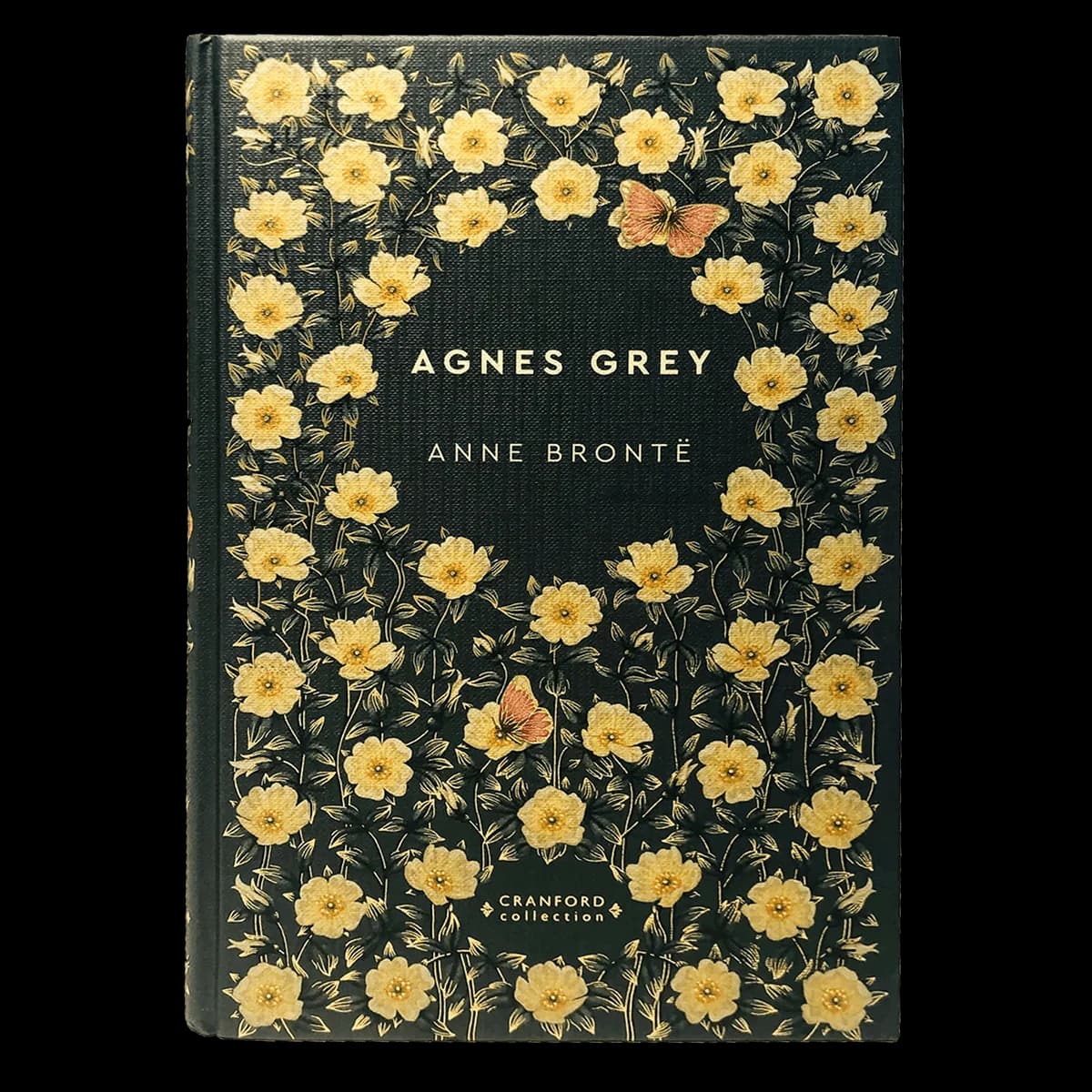 Anne Brontë - Agnes Grey
