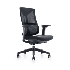 Victory Max Ergonomic Chair