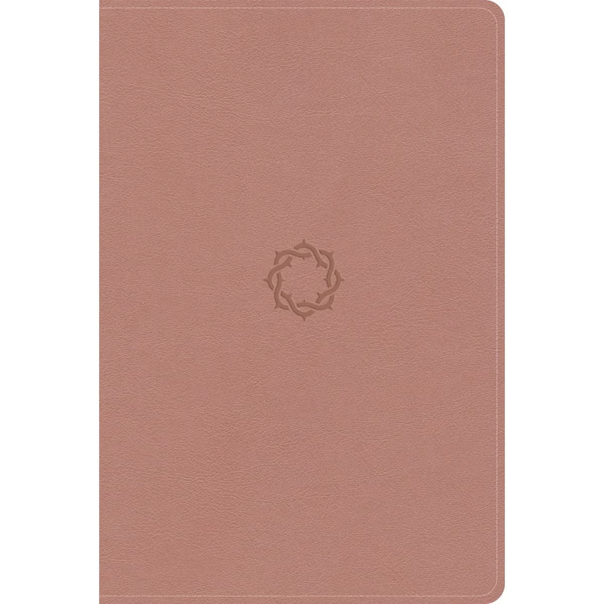 KJV Rose Gold Imitation Leather Essential Teen Study Bible Indexed
