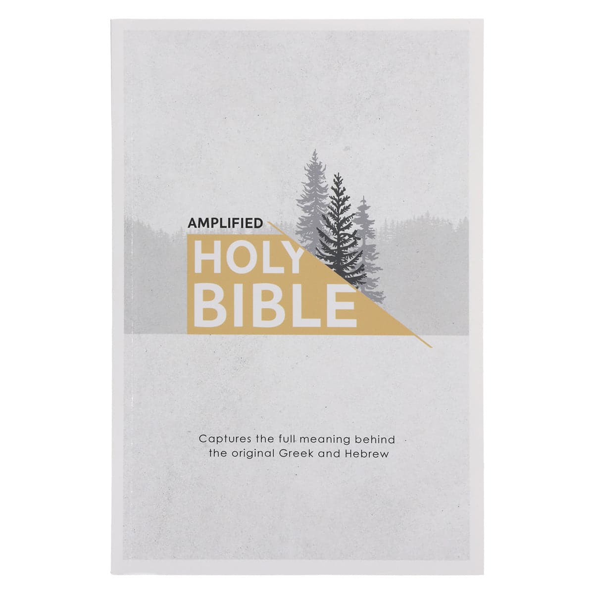 Amplified Grey Paperback Economy Edition Bible