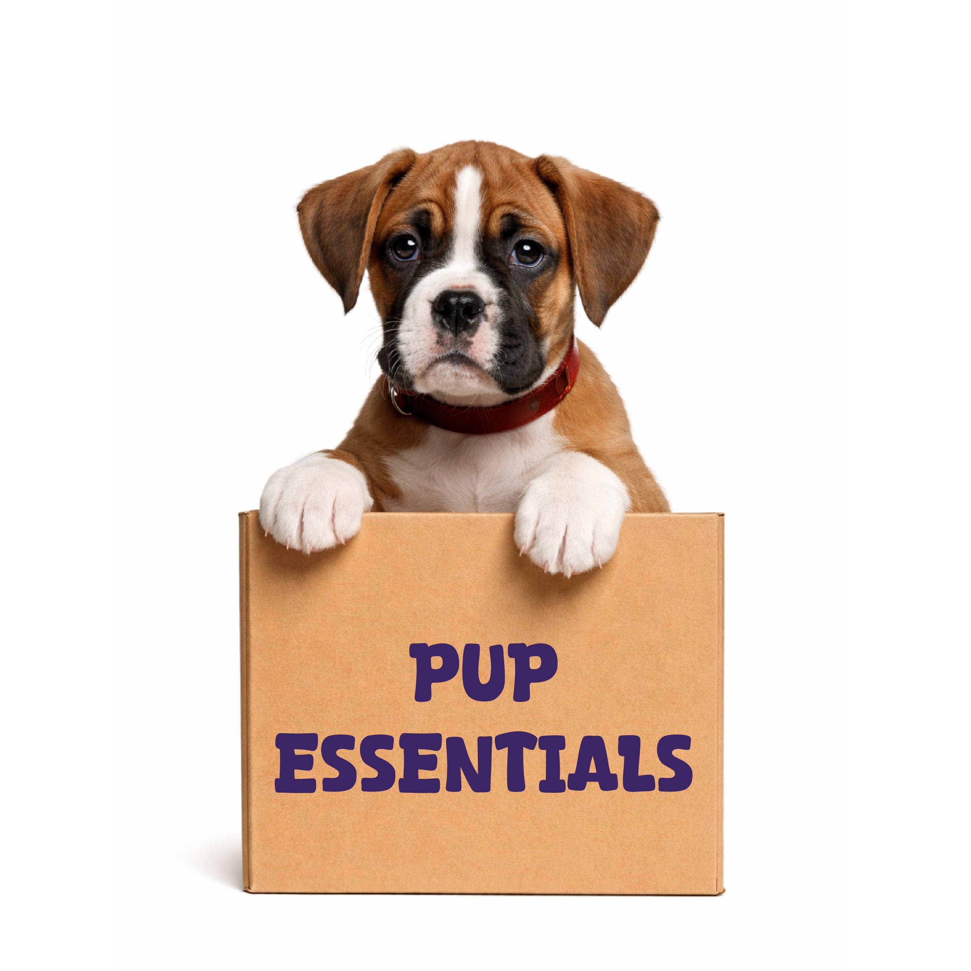 Pup Essentials