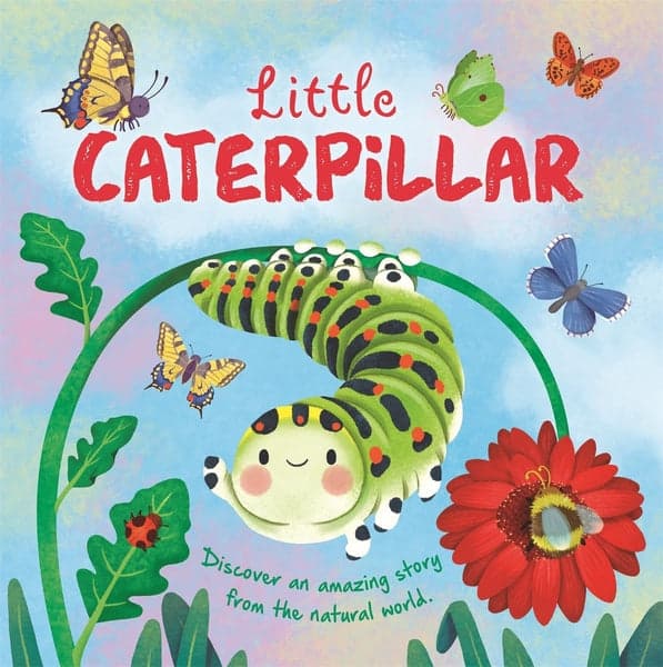 Little Caterpillar B/B