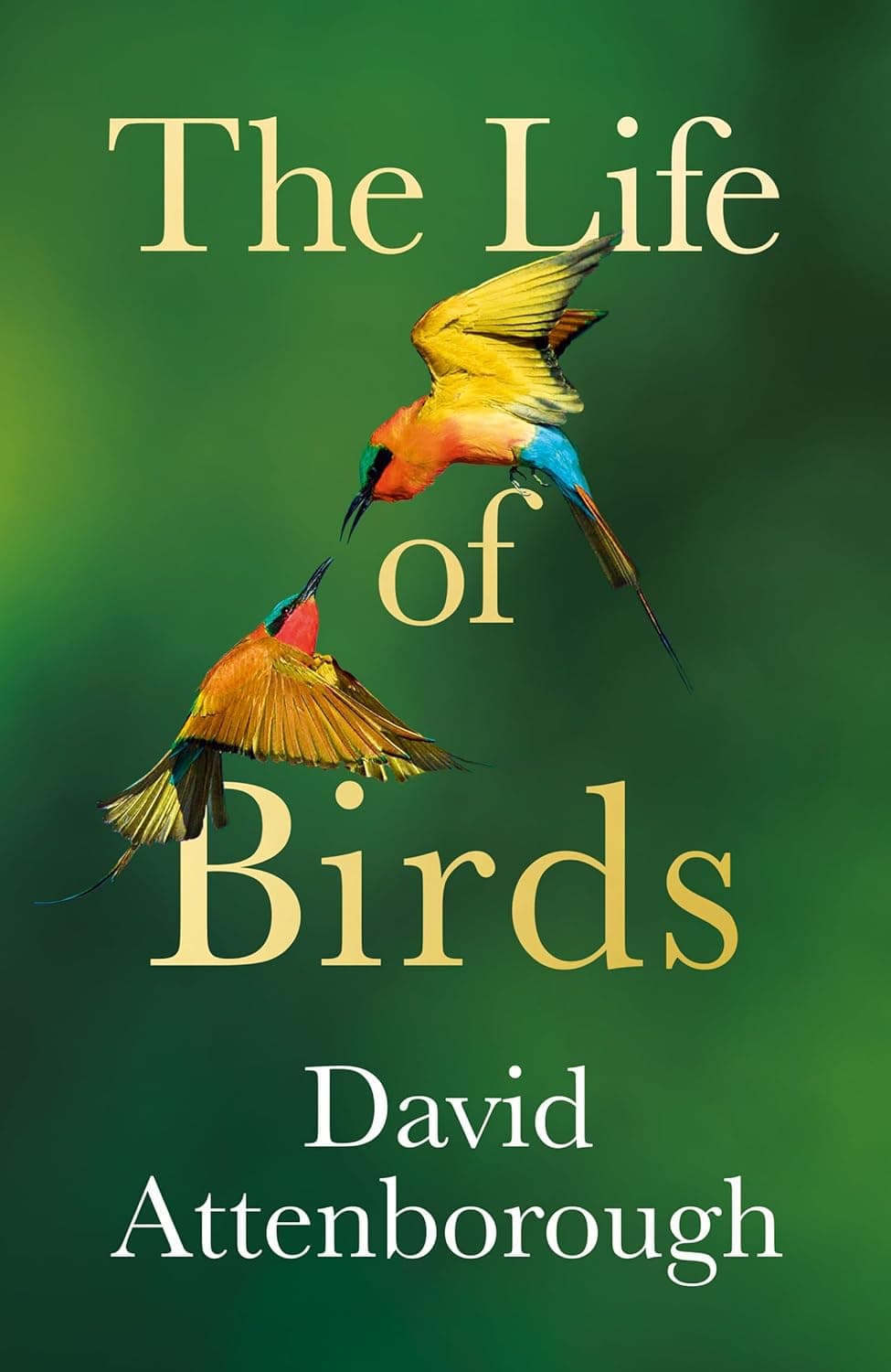 Life Of Birds H/B