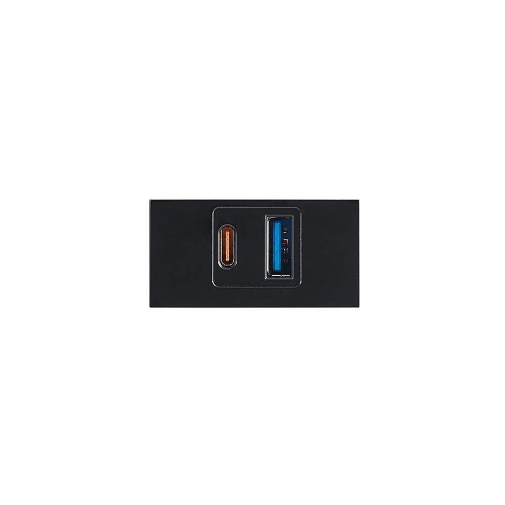 Bright Star Modular USB-A/C Module