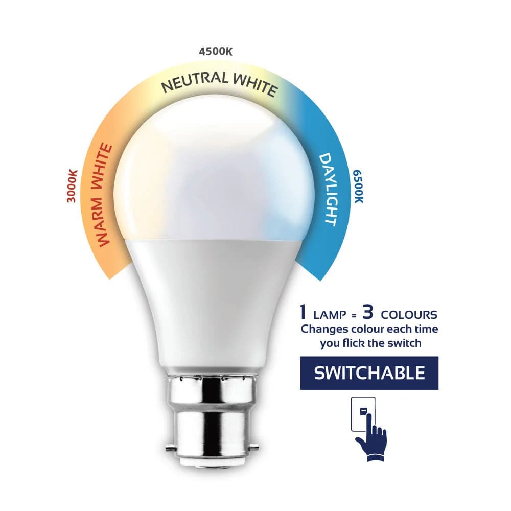 Eurolux LED Switchable Globe B22 7W 610lm 3CCT - Opal