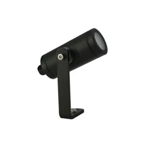 Regent Kevo Spike - Black