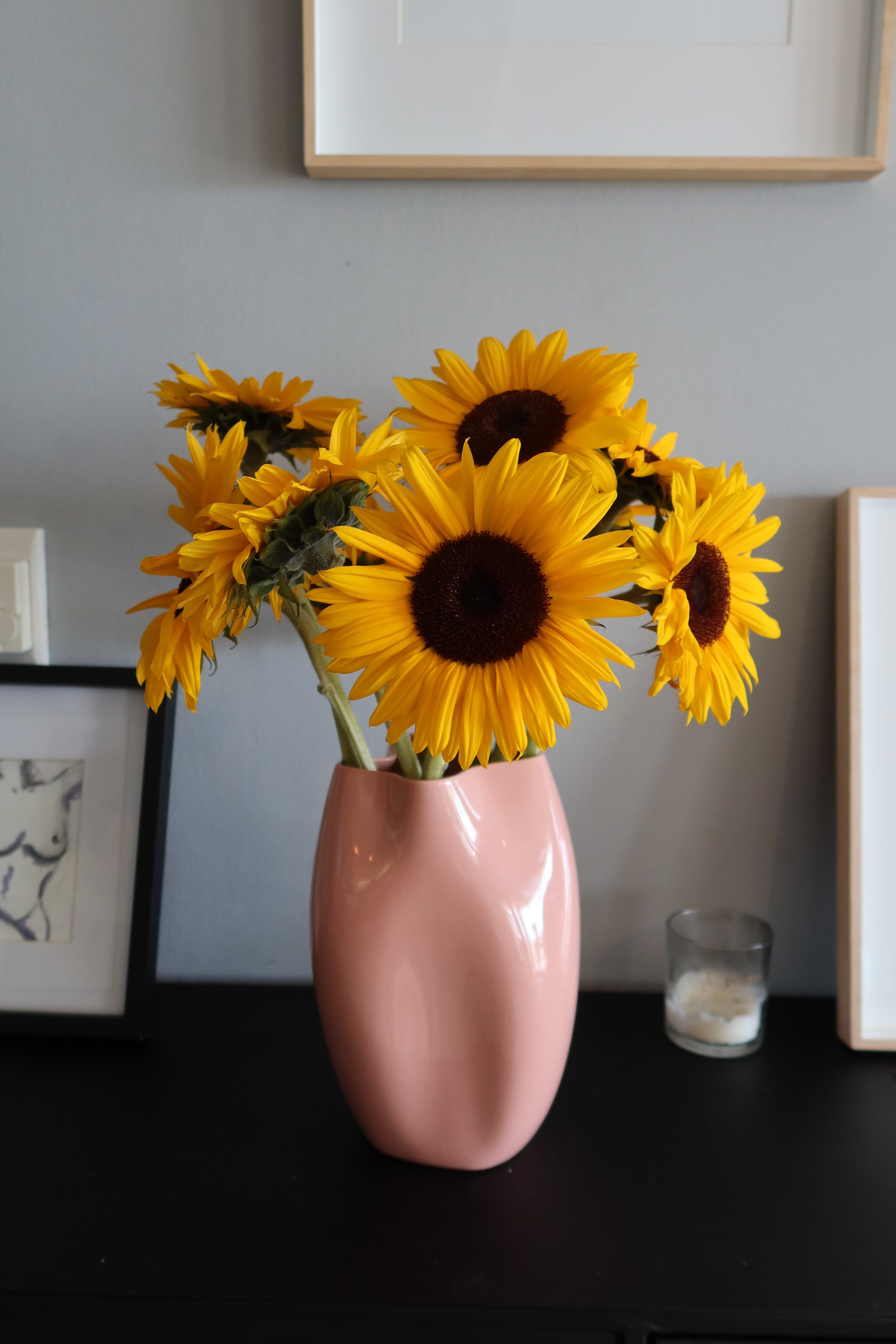 Limited Seasonal Box: Sunflowers