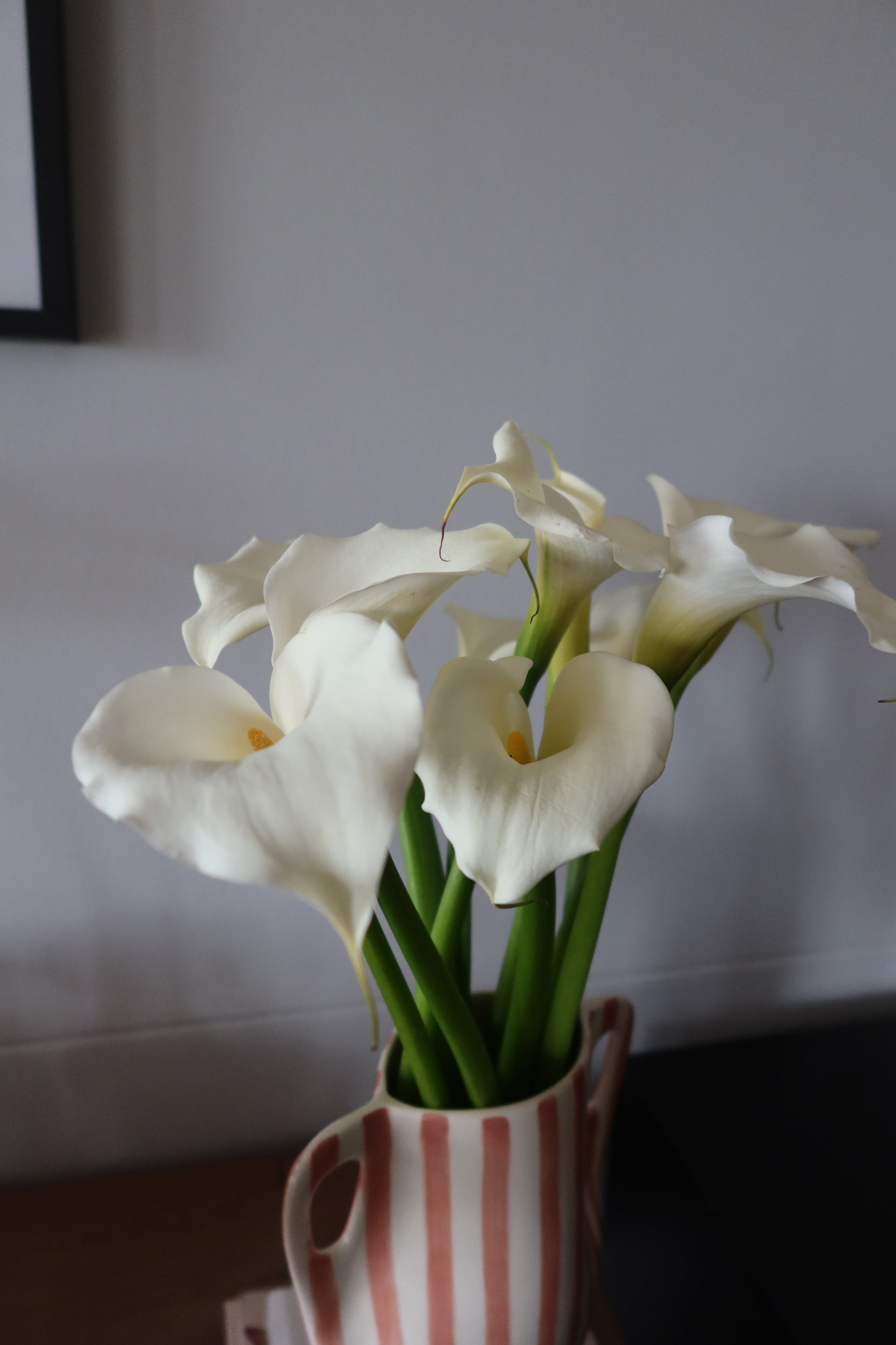 Limited Seasonal Box: White Calla Lilies