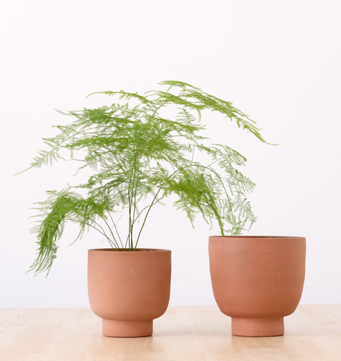 Shing Plinth Planter - Terracotta