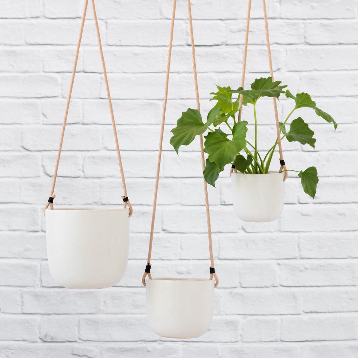 Moon Hanging Planter - White
