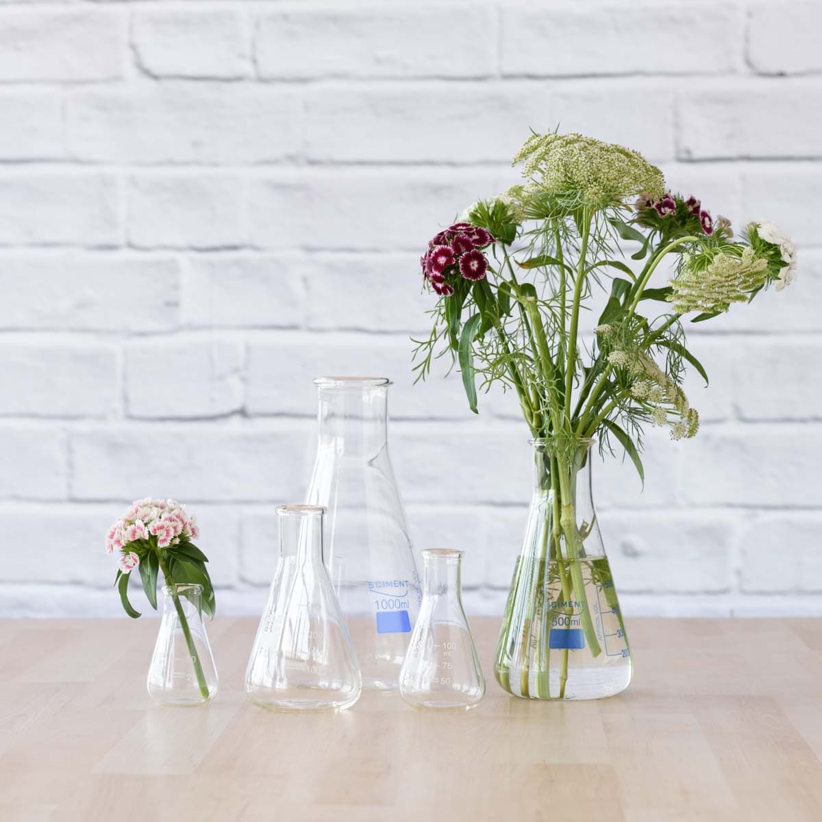 Propagation Vase