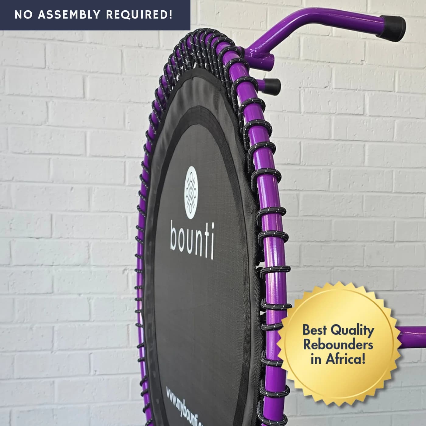 bounti Deluxe 2.0 Rebounder (SA Made) | Purple Rain