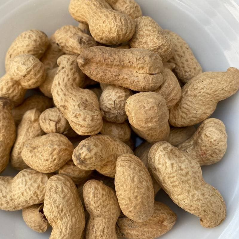 Peanuts In Shell