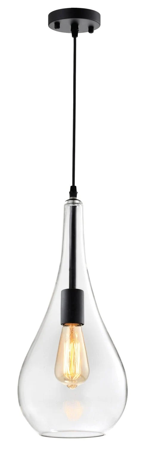 Black Metal Pendant With Clear Glass
