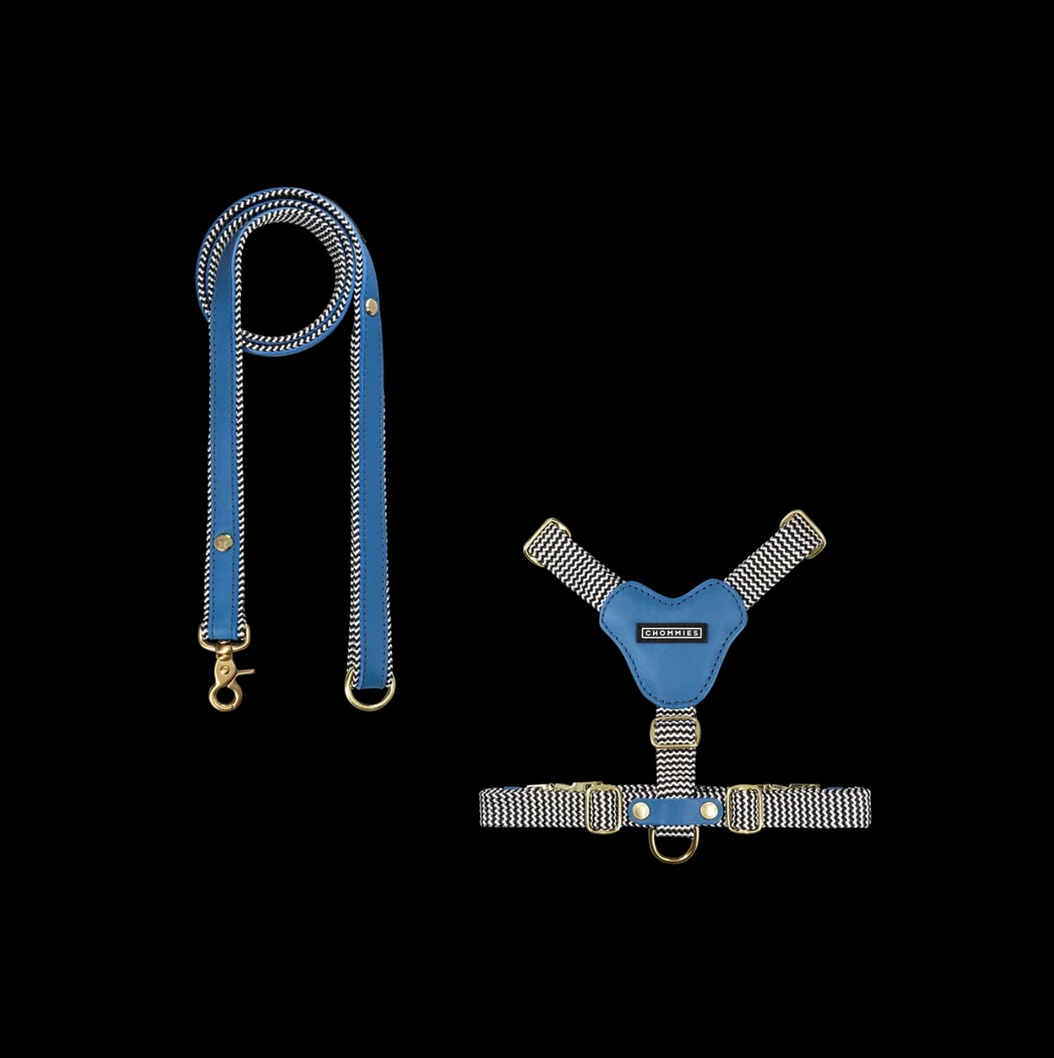 Dog Harness & Leash Bundle | Bloublommetjie