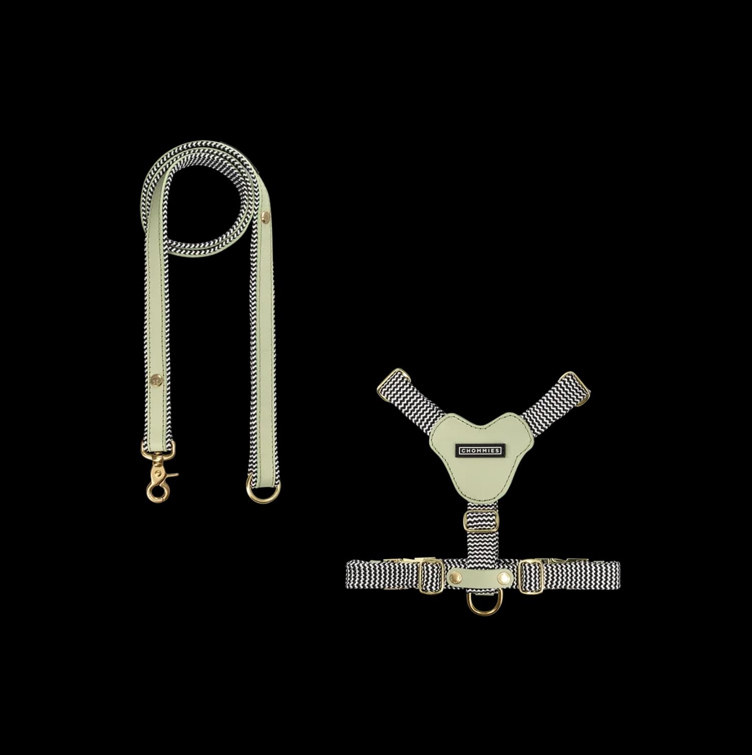 Dog Harness & Leash Bundle | Buchu