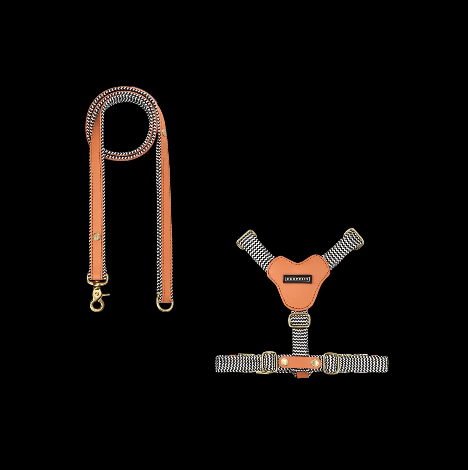 Dog Harness & Leash Bundle | Apricot